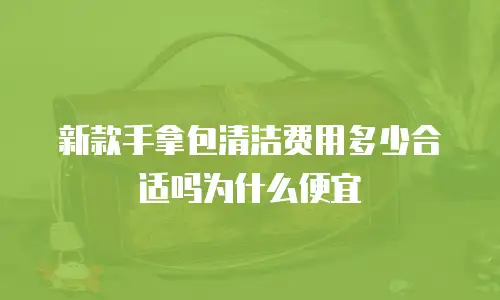 新款手拿包清洁费用多少合适吗为什么便宜