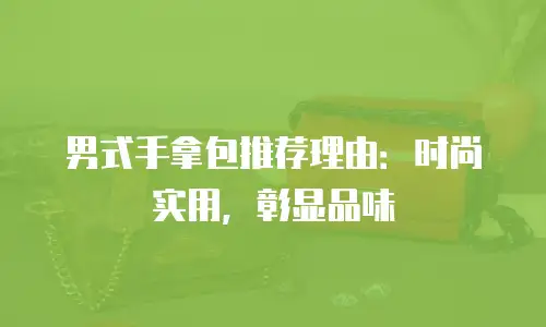 男式手拿包推荐理由：时尚实用，彰显品味