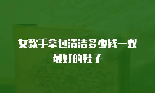女款手拿包清洁多少钱一双最好的鞋子