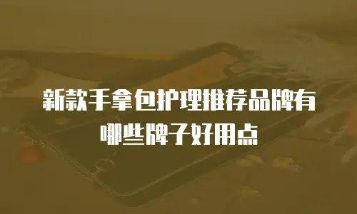 新款手拿包护理推荐品牌有哪些牌子好用点