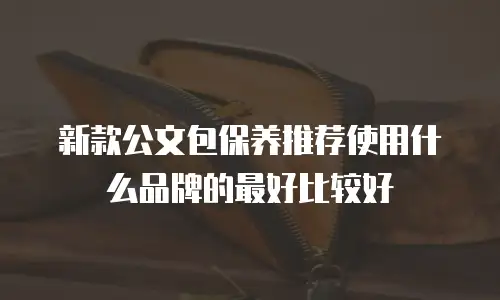 新款公文包保养推荐使用什么品牌的最好比较好