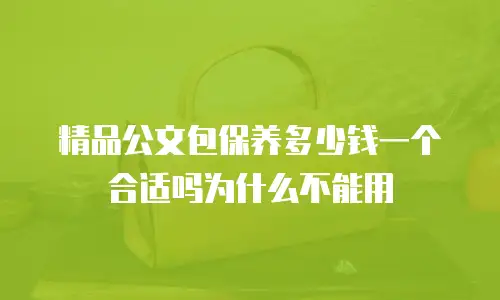 精品公文包保养多少钱一个合适吗为什么不能用