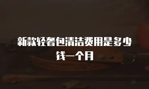 新款轻奢包清洁费用是多少钱一个月