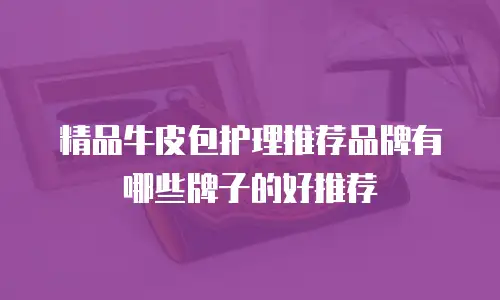 精品牛皮包护理推荐品牌有哪些牌子的好推荐