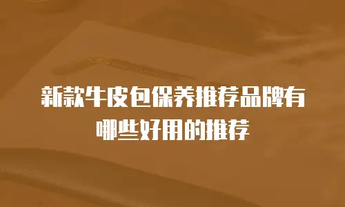 新款牛皮包保养推荐品牌有哪些好用的推荐