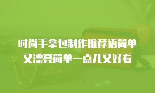 时尚手拿包制作推荐语简单又漂亮简单一点儿又好看