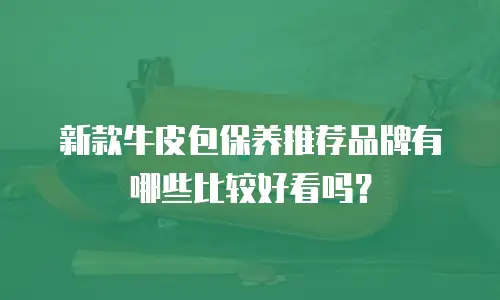 新款牛皮包保养推荐品牌有哪些比较好看吗？