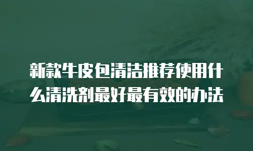 新款牛皮包清洁推荐使用什么清洗剂最好最有效的办法