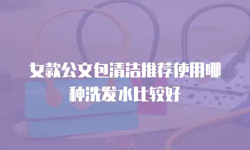 女款公文包清洁推荐使用哪种洗发水比较好