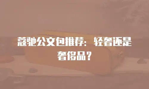 蔻驰公文包推荐：轻奢还是奢侈品？
