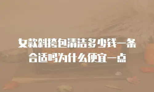 女款斜挎包清洁多少钱一条合适吗为什么便宜一点
