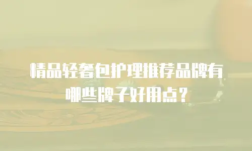 精品轻奢包护理推荐品牌有哪些牌子好用点？