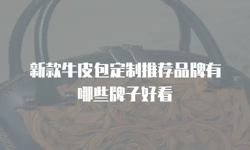 新款牛皮包定制推荐品牌有哪些牌子好看