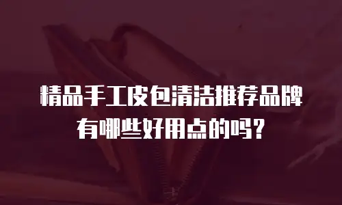精品手工皮包清洁推荐品牌有哪些好用点的吗？