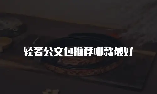 轻奢公文包推荐哪款最好