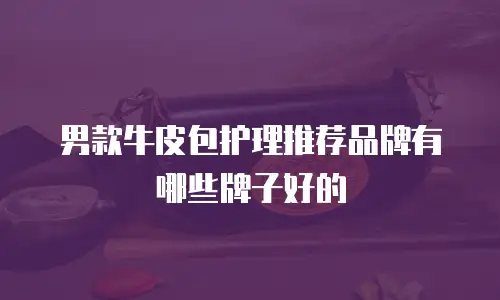 男款牛皮包护理推荐品牌有哪些牌子好的