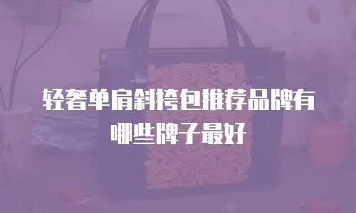轻奢单肩斜挎包推荐品牌有哪些牌子最好