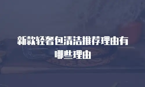 新款轻奢包清洁推荐理由有哪些理由