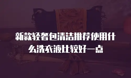 新款轻奢包清洁推荐使用什么洗衣液比较好一点