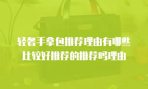 轻奢手拿包推荐理由有哪些比较好推荐的推荐吗理由
