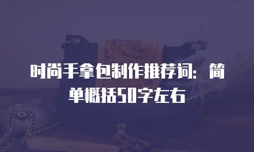 时尚手拿包制作推荐词：简单概括50字左右