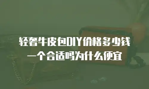 轻奢牛皮包DIY价格多少钱一个合适吗为什么便宜