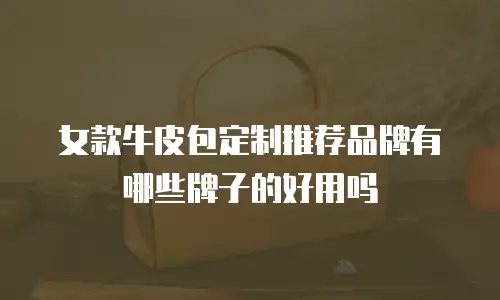 女款牛皮包定制推荐品牌有哪些牌子的好用吗