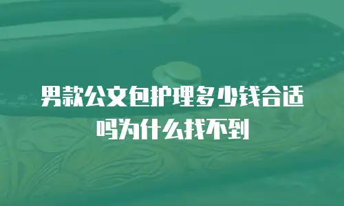 男款公文包护理多少钱合适吗为什么找不到
