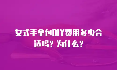女式手拿包DIY费用多少合适吗？为什么？