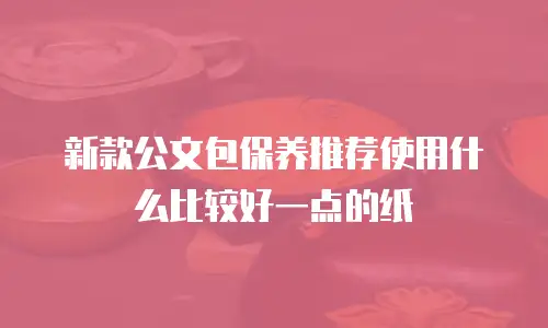 新款公文包保养推荐使用什么比较好一点的纸