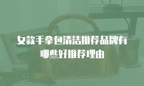 女款手拿包清洁推荐品牌有哪些好推荐理由