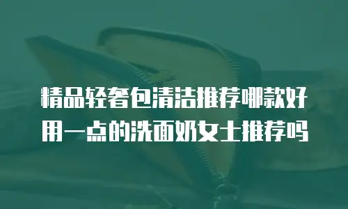 精品轻奢包清洁推荐哪款好用一点的洗面奶女士推荐吗