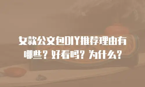 女款公文包DIY推荐理由有哪些？好看吗？为什么？