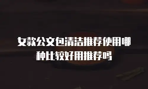 女款公文包清洁推荐使用哪种比较好用推荐吗
