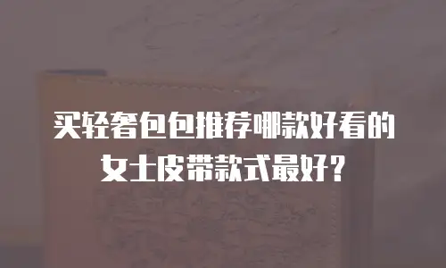 买轻奢包包推荐哪款好看的女士皮带款式最好？