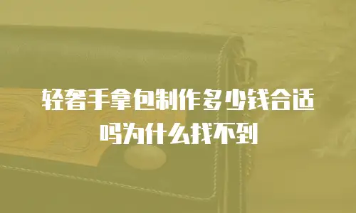 轻奢手拿包制作多少钱合适吗为什么找不到