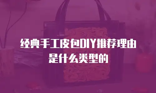 经典手工皮包DIY推荐理由是什么类型的