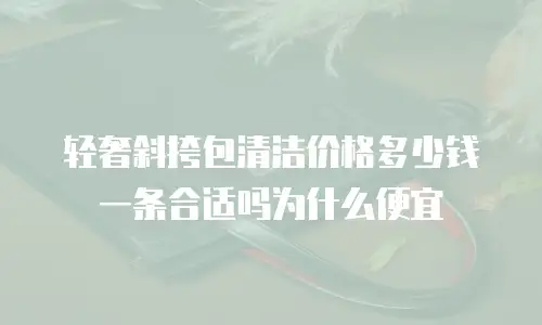 轻奢斜挎包清洁价格多少钱一条合适吗为什么便宜