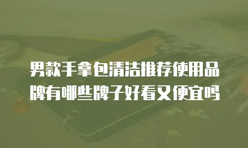 男款手拿包清洁推荐使用品牌有哪些牌子好看又便宜吗