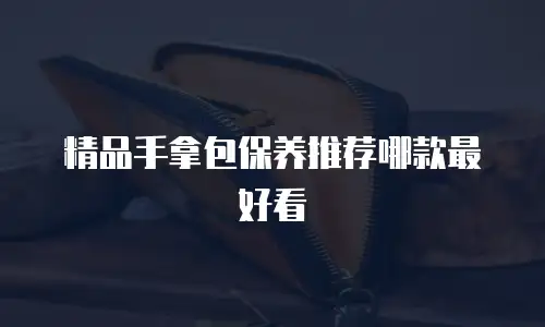 精品手拿包保养推荐哪款最好看