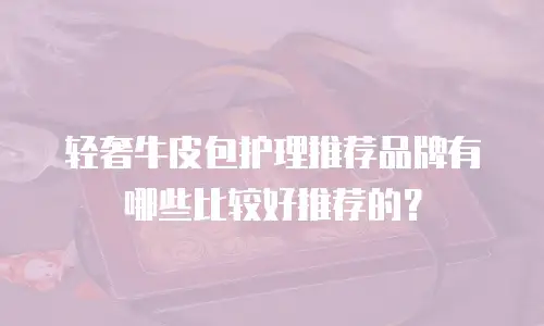 轻奢牛皮包护理推荐品牌有哪些比较好推荐的？