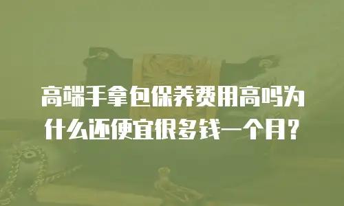 高端手拿包保养费用高吗为什么还便宜很多钱一个月？