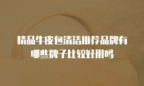 精品牛皮包清洁推荐品牌有哪些牌子比较好用吗