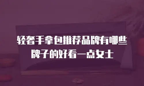 轻奢手拿包推荐品牌有哪些牌子的好看一点女士