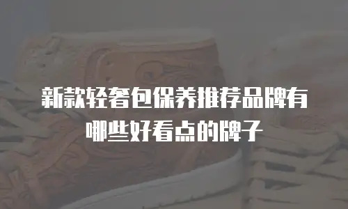 新款轻奢包保养推荐品牌有哪些好看点的牌子