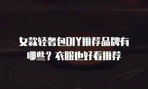 女款轻奢包DIY推荐品牌有哪些？衣服也好看推荐