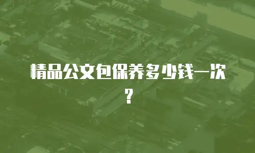 精品公文包保养多少钱一次？