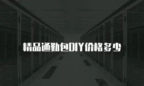 精品通勤包DIY价格多少