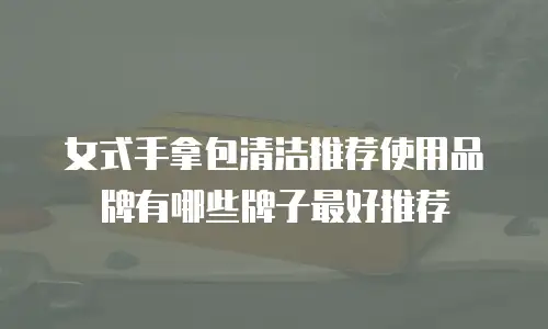 女式手拿包清洁推荐使用品牌有哪些牌子最好推荐