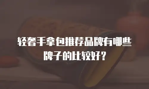 轻奢手拿包推荐品牌有哪些牌子的比较好？